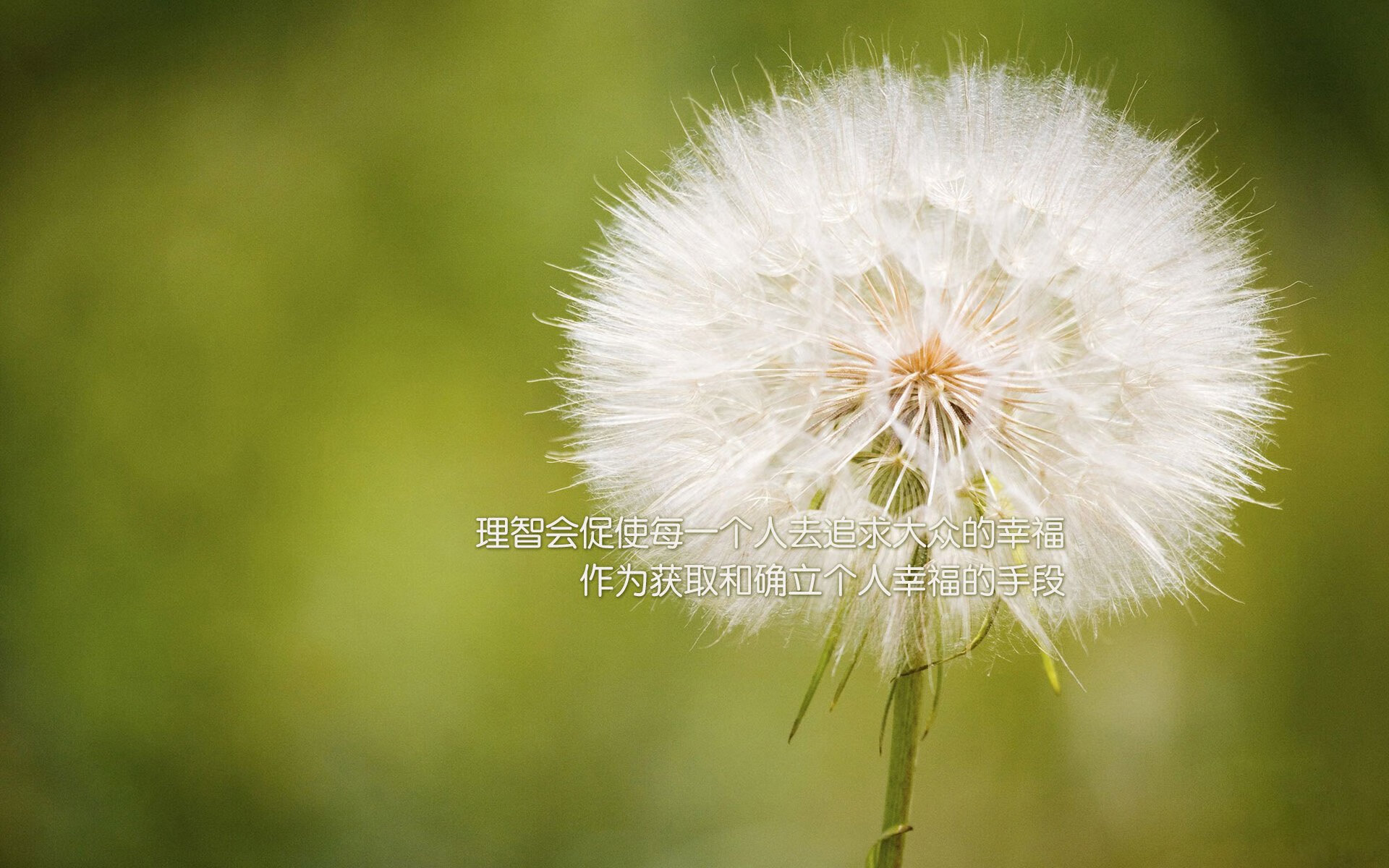 开云入口-_猛龙奋勇作战，逐步接近季后赛_，18～19猛龙季后赛赛程