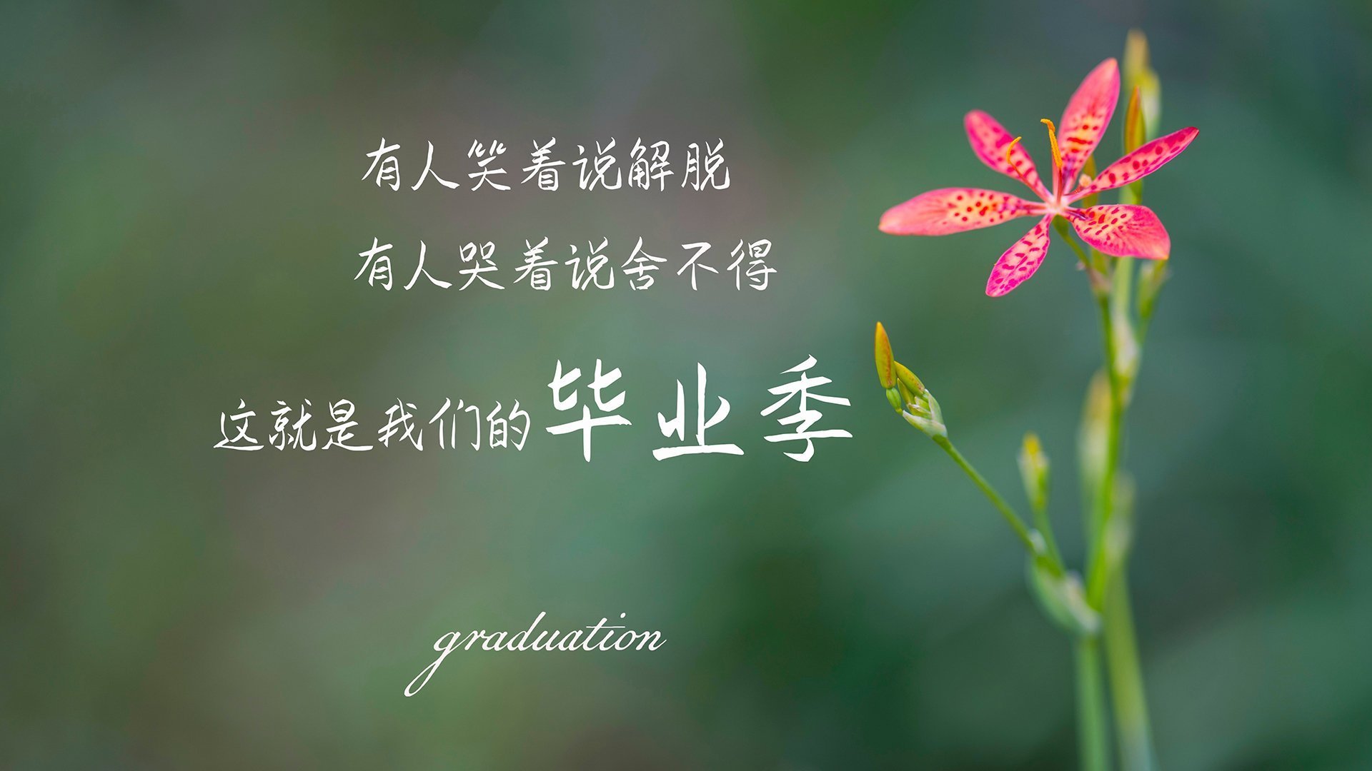 榜单揭晓：历届欧冠最耀眼球员TOP10，历届欧冠最佳球员