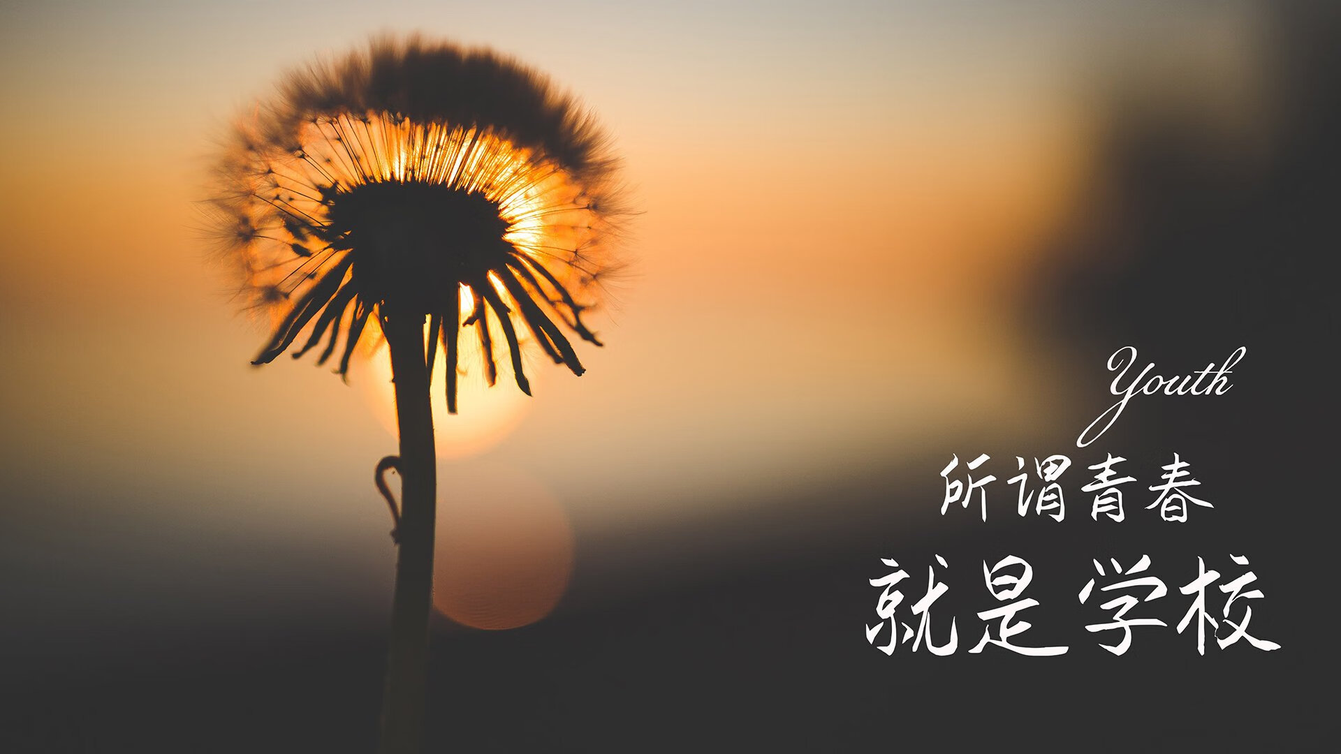 开云官方网站-湖人防守端松懈导致失利，湖人 防守
