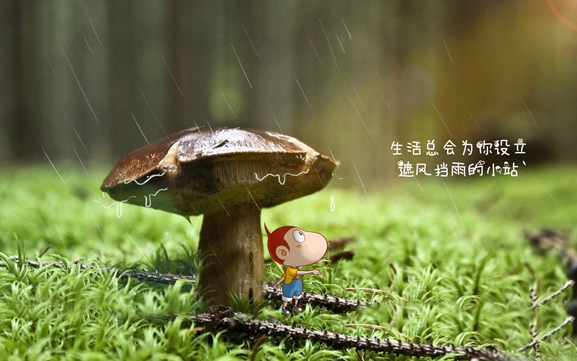 乌干达女篮在非洲锦标赛中持续突破，体育实力不断提升，带你看非洲乌干达