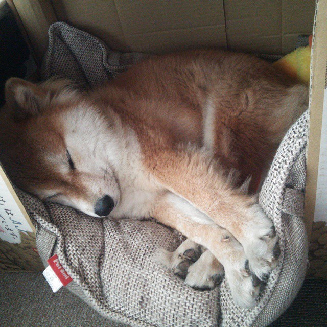 欧洲杯变阵奇招：出奇制胜引爆全场，欧洲杯揭幕战爆冷