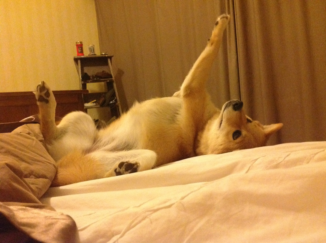 法国年轻天才崭露锋芒,未来可期