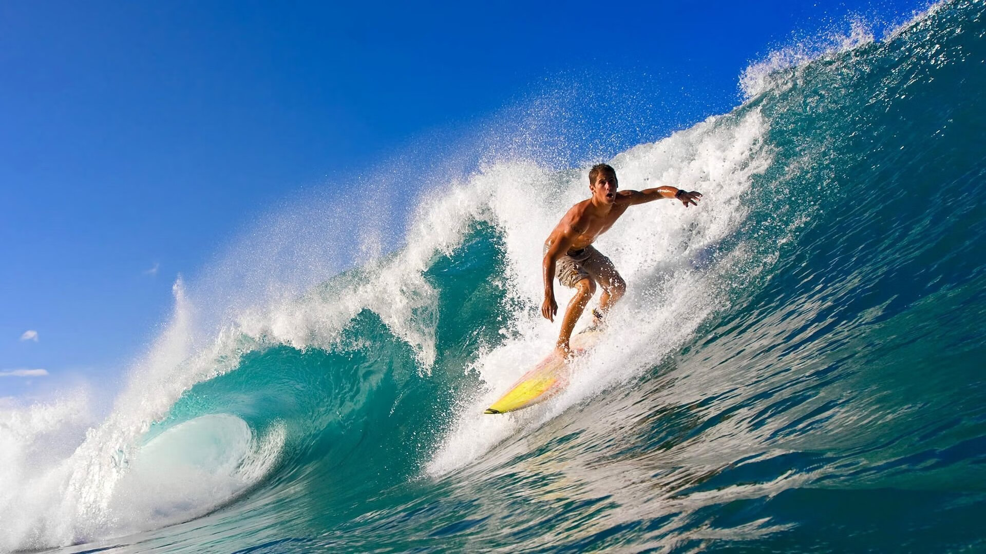 开云中国大陆-美洲杯明星闪耀：突破、精彩、激情！，美洲杯选手